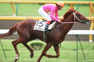 ミホノブルボンだけじゃない…“坂路”革命！日本競馬を変えた調教【坂路の申し子5選】