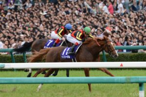 オルフェーヴル　～“天才と狂気”を併せ持つ世紀の怪物。凱旋門制覇まであと一歩に迫った金色の暴君～