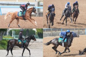 【POG 2025-2026】競馬チャンネルライター大集結！「本気の“推し”はこの馬」