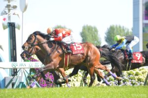 アグネスタキオン産駒最強馬は？獲得賞金ランキング【第6位】えげつない輝き…13連敗でも失われない最高の2勝