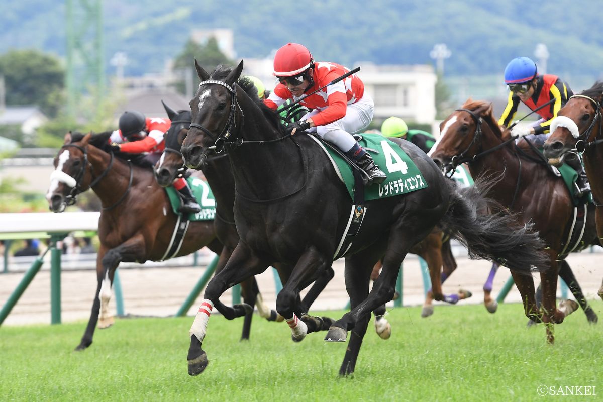 2024年七夕賞を制したレッドラディエンス
