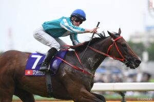 【最強香港馬 5選】あまりに強すぎた…日本馬の前に立ちはだかった伝説の香港馬たち