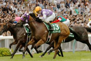 フレンチデピュティ産駒最強馬は？獲得賞金ランキング【第8位】厩舎で非業の死を遂げ…