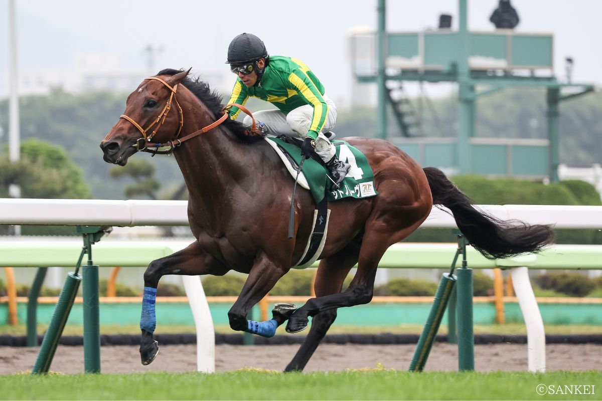 2024年函館SSを制したサトノレーヴ