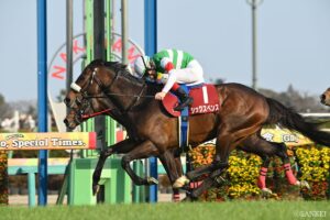 【安田記念有力馬診断】初G1獲得を狙うシックスペンスの評価は？春のマイル王に輝くのはどの馬なのか…