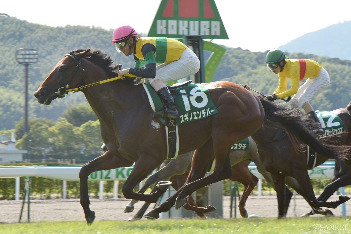 2012年北九州記念を制したスギノエンデバー