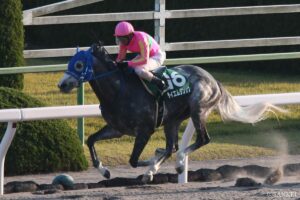 クロフネ産駒最強馬は？獲得賞金ランキング【第8位】騎手変更で一気に覚醒も…急降下で電撃引退した超上り馬