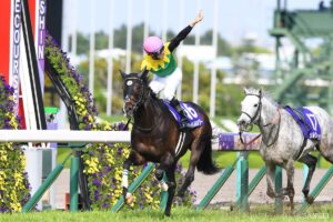名実ともに最強に…「宝塚記念」ファン投票1位に応えて勝利した名馬（5）まさかの屈辱…評価覆した阪神3冠