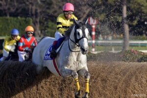 クロフネ産駒最強馬は？獲得賞金ランキング【第4位】一転して荒稼ぎ！ 障害王のライバルにして名ジャンパー
