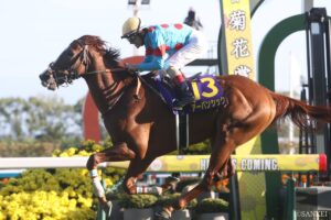 【金鯱賞・能力分析】元トラックマンが実績×適性×騎手を数値化！菊花賞馬・アーバンシックの復活は…？