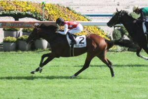 【札幌記念 枠順確定】ヴェローチェエラは5枠10番、ステレンボッシュは4枠8番に決定