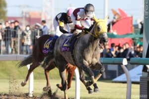 クロフネ産駒最強馬は？獲得賞金ランキング【第9位】今もなお、ただ一頭だけ…歴史的快挙を遂げた女帝