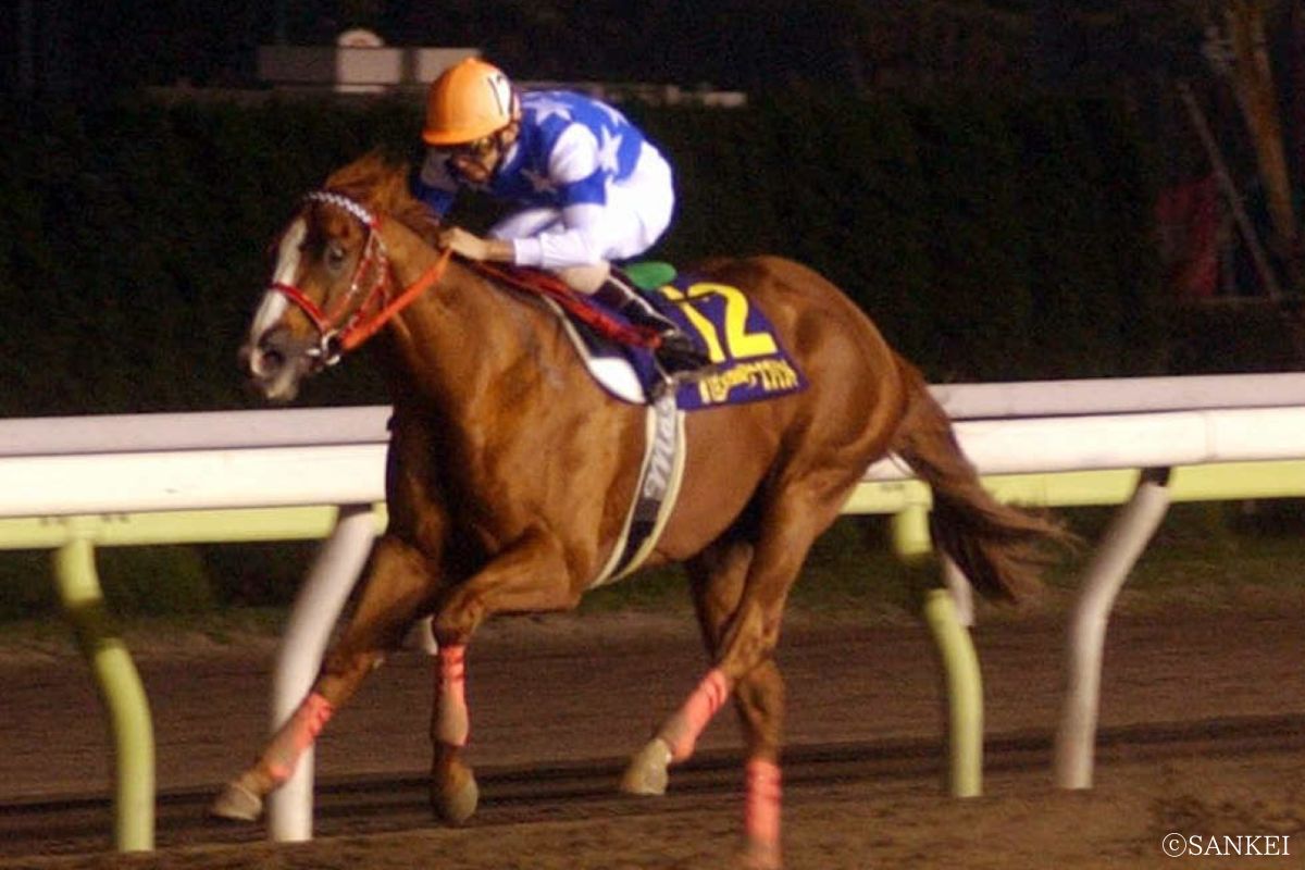 2001年JBCスプリントを制したノボジャック