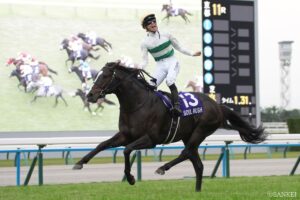 【安田記念枠順確定】ソウルラッシュは7枠13番、シックスペンスは1枠1番