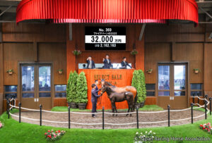 セレクトセール2025・当歳部門落札額ランキング【第4位】母系はゴリゴリの豪州血統！「ショウナン」でおなじみ国本哲秀氏が落札