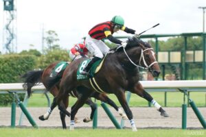 【北九州記念 有力馬診断】重賞2勝目を狙うエイシンワンドの評価は？混戦必至のレースを制すのは…
