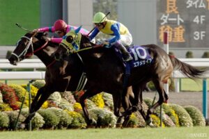 まさに一心同体！武豊一筋の名馬（4）ひとつのミスが命取りになるレース…それを許さないのが武豊たるゆえん