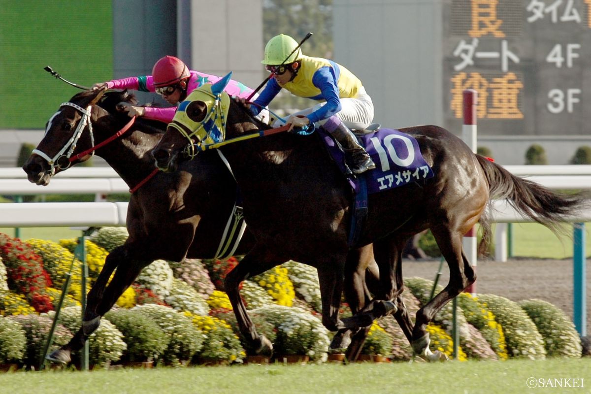 2005年秋華賞を制したエアメサイア