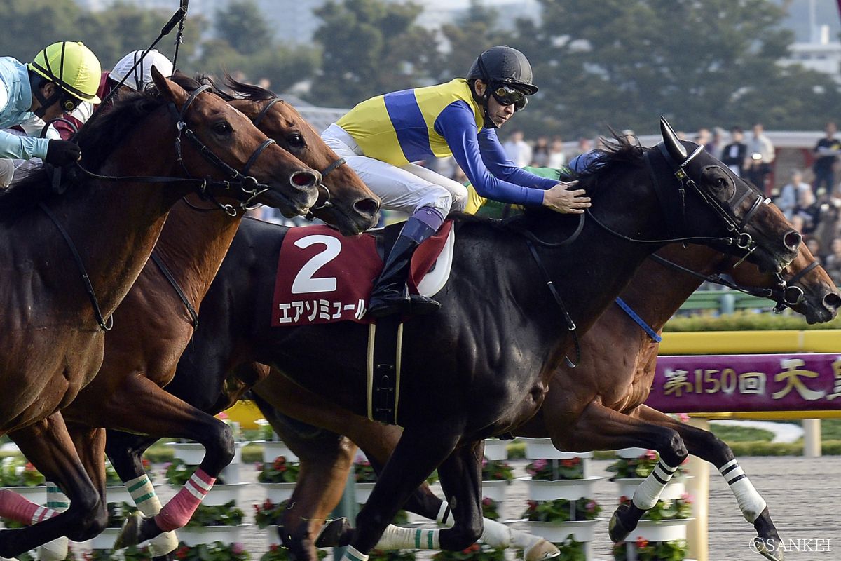 2014年毎日王冠を制した時のエアソミュール