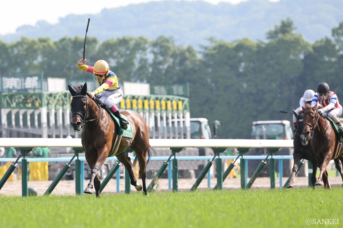 2024年マーメイドSを制したアリスヴェリテ