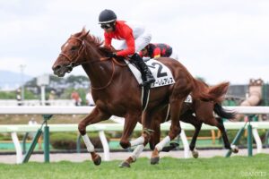 【東大流・次世代スター発掘】アーレムアレス、2歳世代の牡馬ナンバーワン！「マルガと同等かそれ以上」