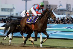 ジャングルポケット産駒最強馬は？獲得賞金ランキング【第4位】絶頂の中で非業の最期に…ダート界の“超新星”