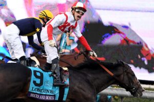 悪夢の急転落…セレクトセール価格下落率ランキング【第2位】地獄の重賞26連敗…名牝の仔が汚名返上するか
