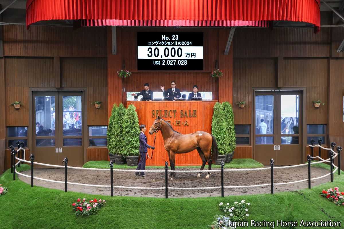 コンヴィクションⅡの2024 ⓒJapan Racing Horse Association