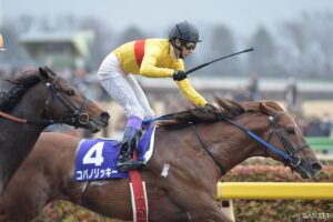 ゴールドアリュール産駒の最強馬は？賞金ランキング【第2位】最多G1級勝利の記録保持者！成り上がりダート王