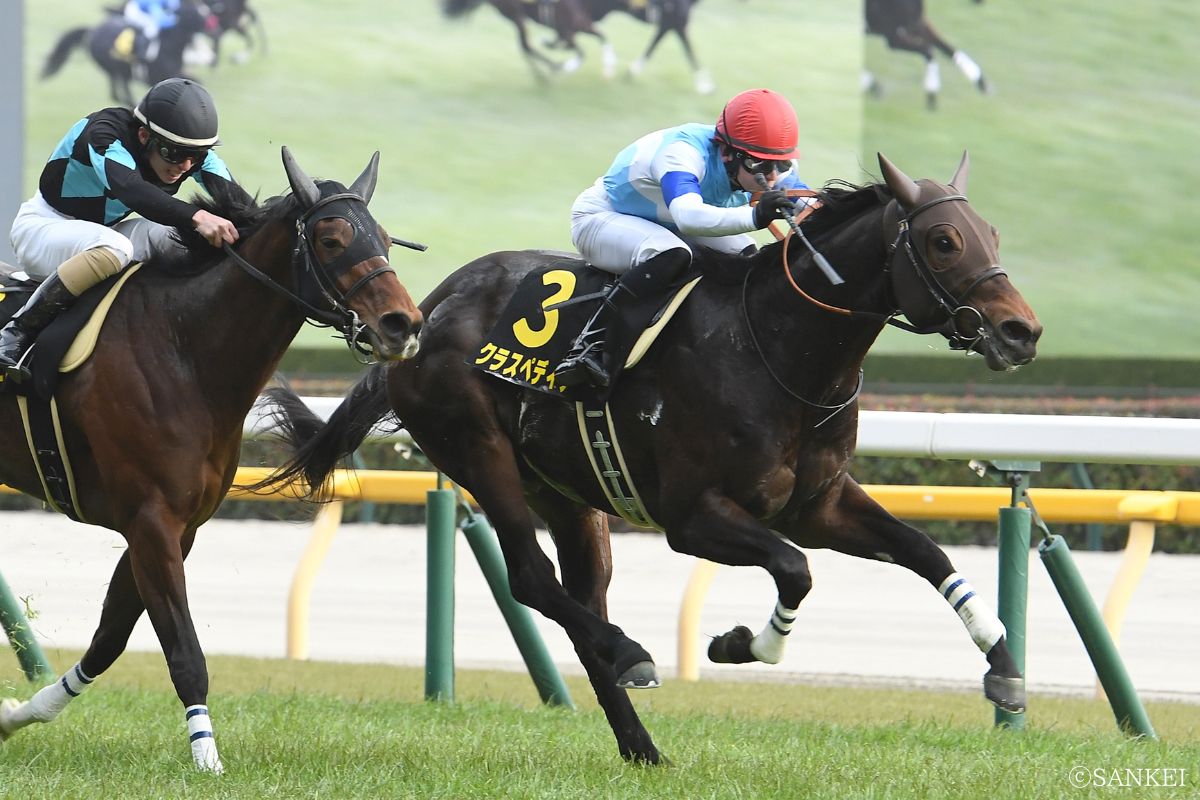 2025年クロッカスSを制したクラスペディア
