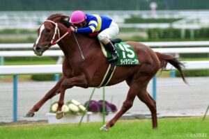 フジキセキ産駒の賞金王は…？獲得賞金ランキング【第7位】京都金杯を連覇した名門出身の良血馬