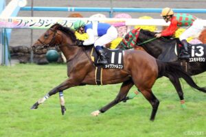 ジャングルポケット産駒最強馬は？獲得賞金ランキング【第6位】手が付けられない…名門一族の“福島の鬼”