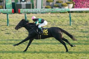 【小倉記念 有力馬診断】重賞馬わずか2頭！混戦必至の一戦──勝利をつかむのは、果たしてどの馬か？
