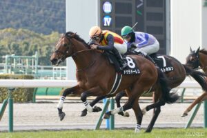 【七夕賞 有力馬診断】◎候補5頭を全紹介！想定1番人気のドゥラドーレスの評価は…？