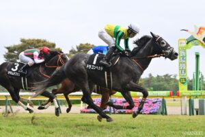【七夕賞】競馬チャンネルライター大集合！（2）小早川涼風の予想