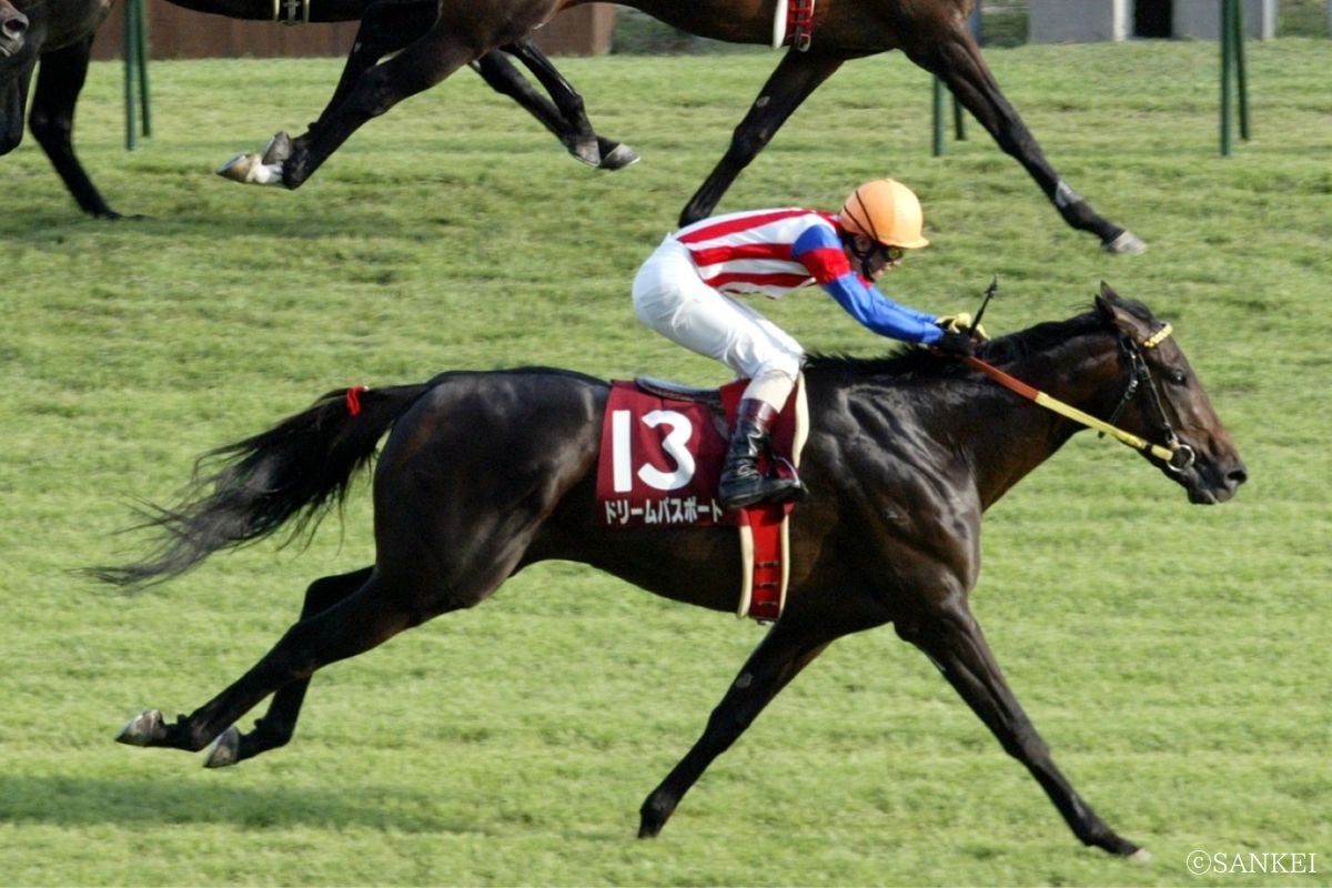 2006年神戸新聞杯を制したドリームパスポート