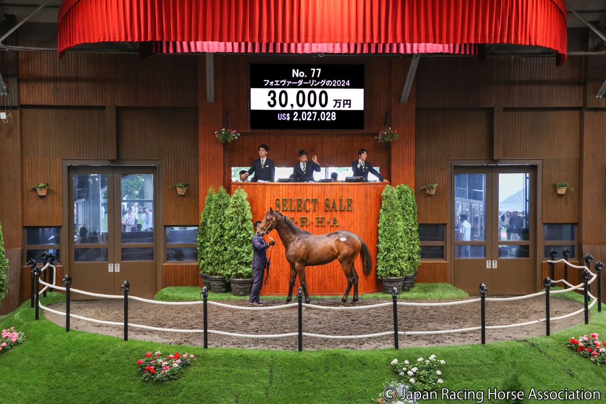 フォーエヴァーダーリングの2024ⓒJapan Racing Horse Association