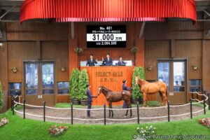 セレクトセール当歳部門落札額ランキング【第5位】綺麗な流星が走るイケメンフェイス！世界最強イクイノックス産駒の良血馬