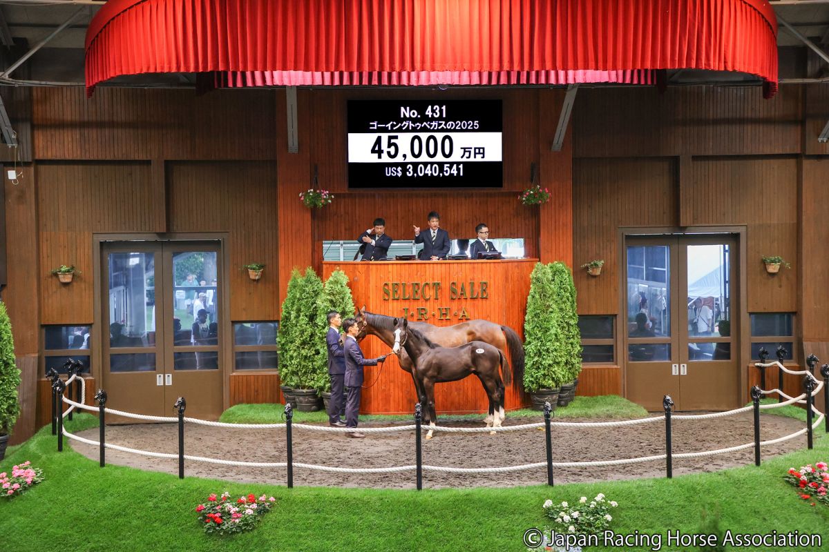 ゴーイングトゥベガスの2025 ⓒJapan Racing Horse Association