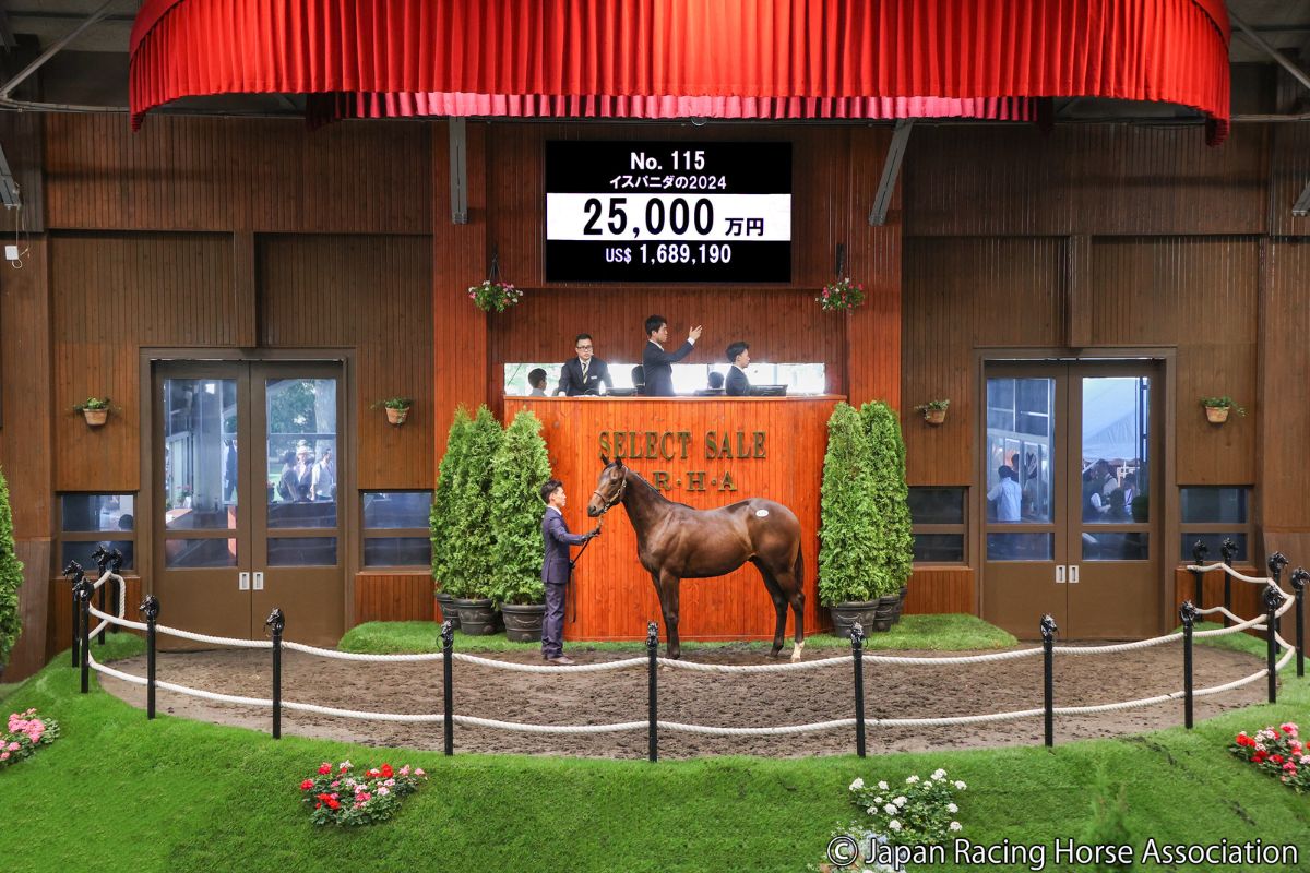 イスパニダの2024 ⓒJapan Racing Horse Association