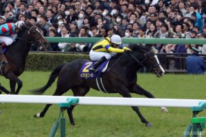 フジキセキ産駒の賞金王は…？獲得賞金ランキング【第3位】7億超を稼いだイケメン…抜群の安定感を見せた名馬