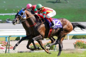 ジャングルポケット産駒最強馬は？獲得賞金ランキング【第2位】春天を激勝！ジャンポケ産駒の最強長距離ランナー