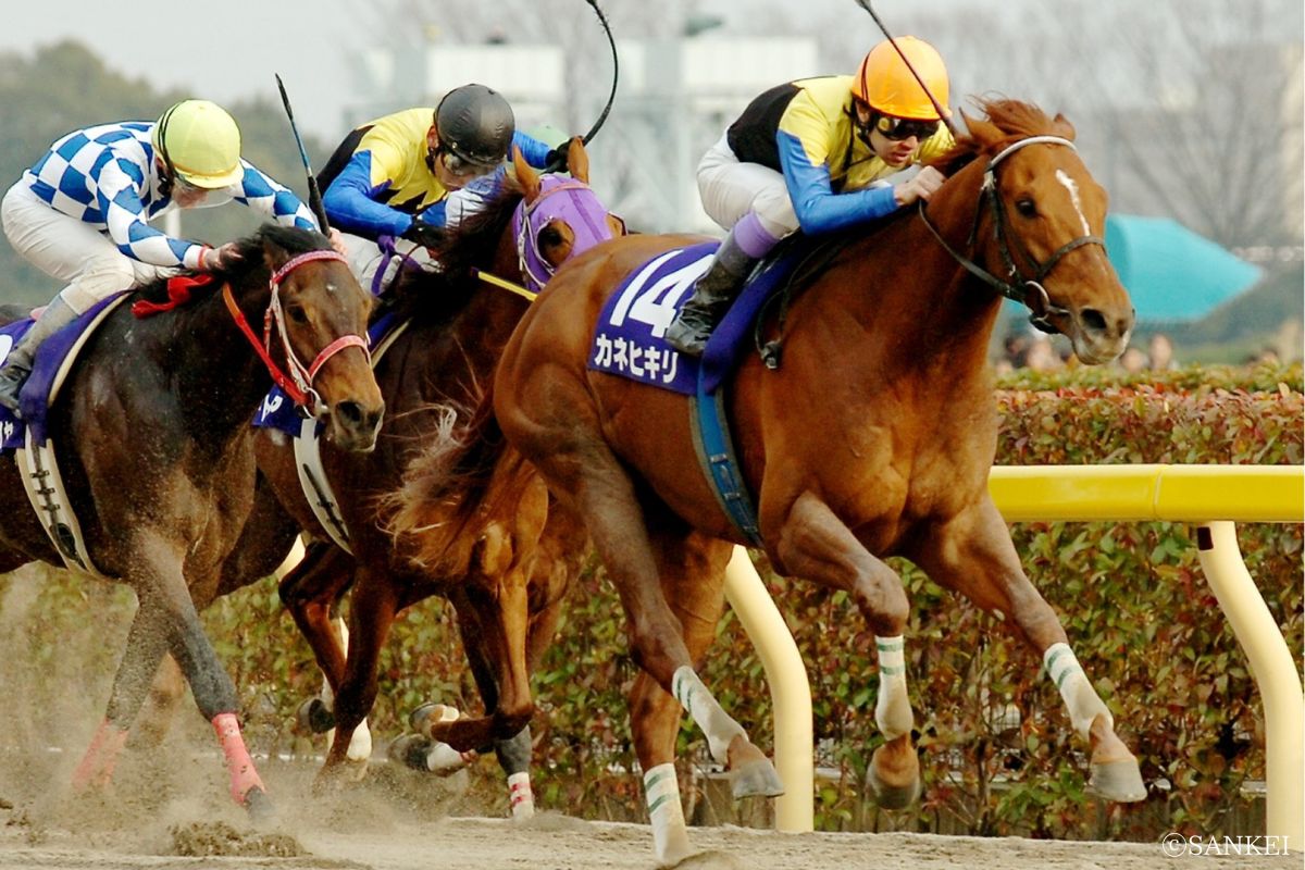 2006年フェブラリーSを制した時のカネヒキリ