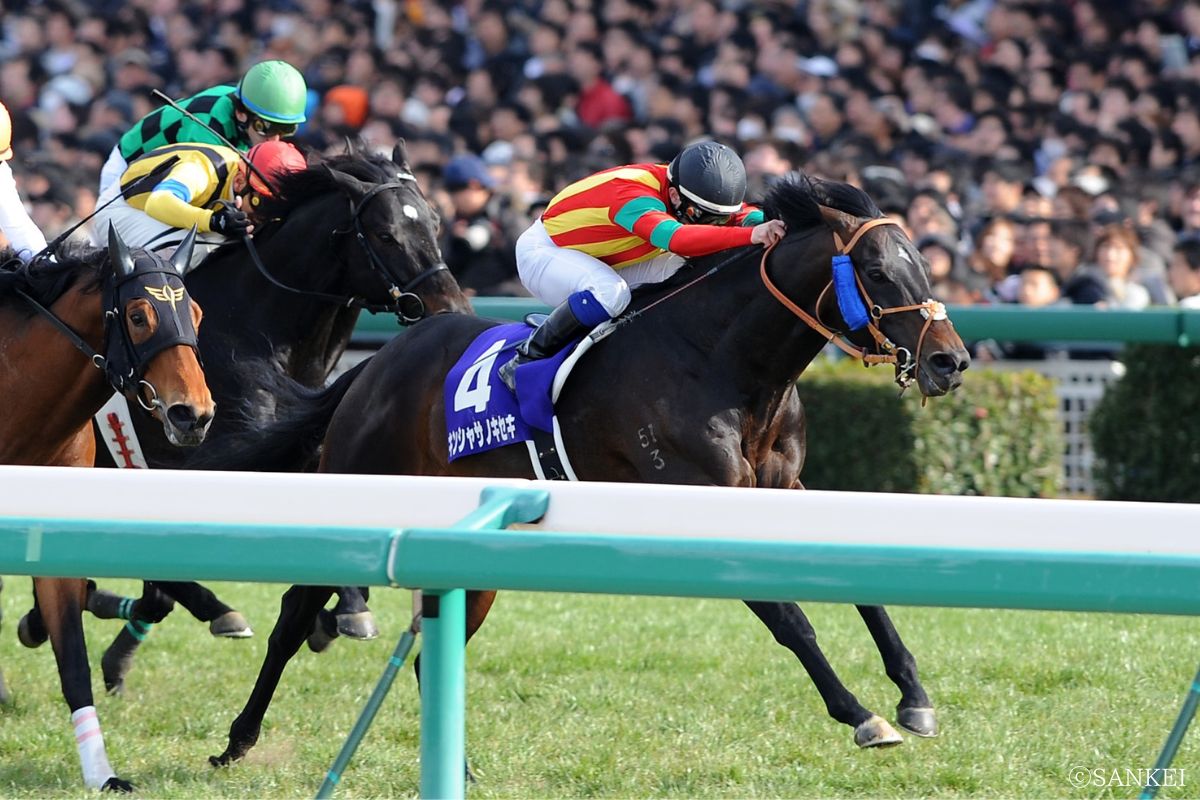 2011年高松宮記念を制したキンシャサノキセキ