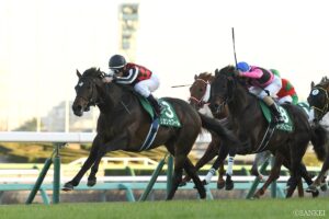 【小倉記念 枠順確定】ハピは6枠12番、リカンカブールは8枠16番