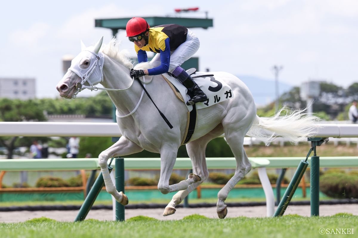 2025年7月12日新馬戦を勝利したマルガ