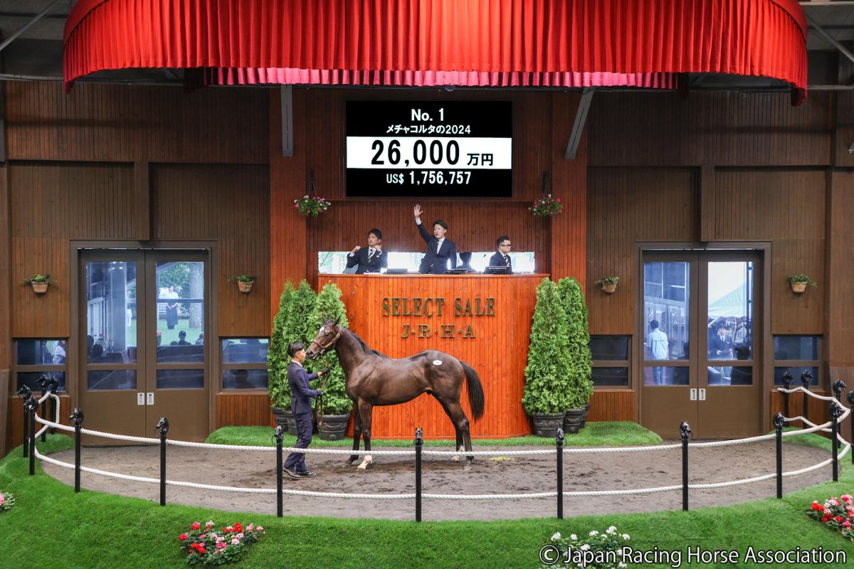 メチャコルタの2024ⓒJapan Racing Horse Association