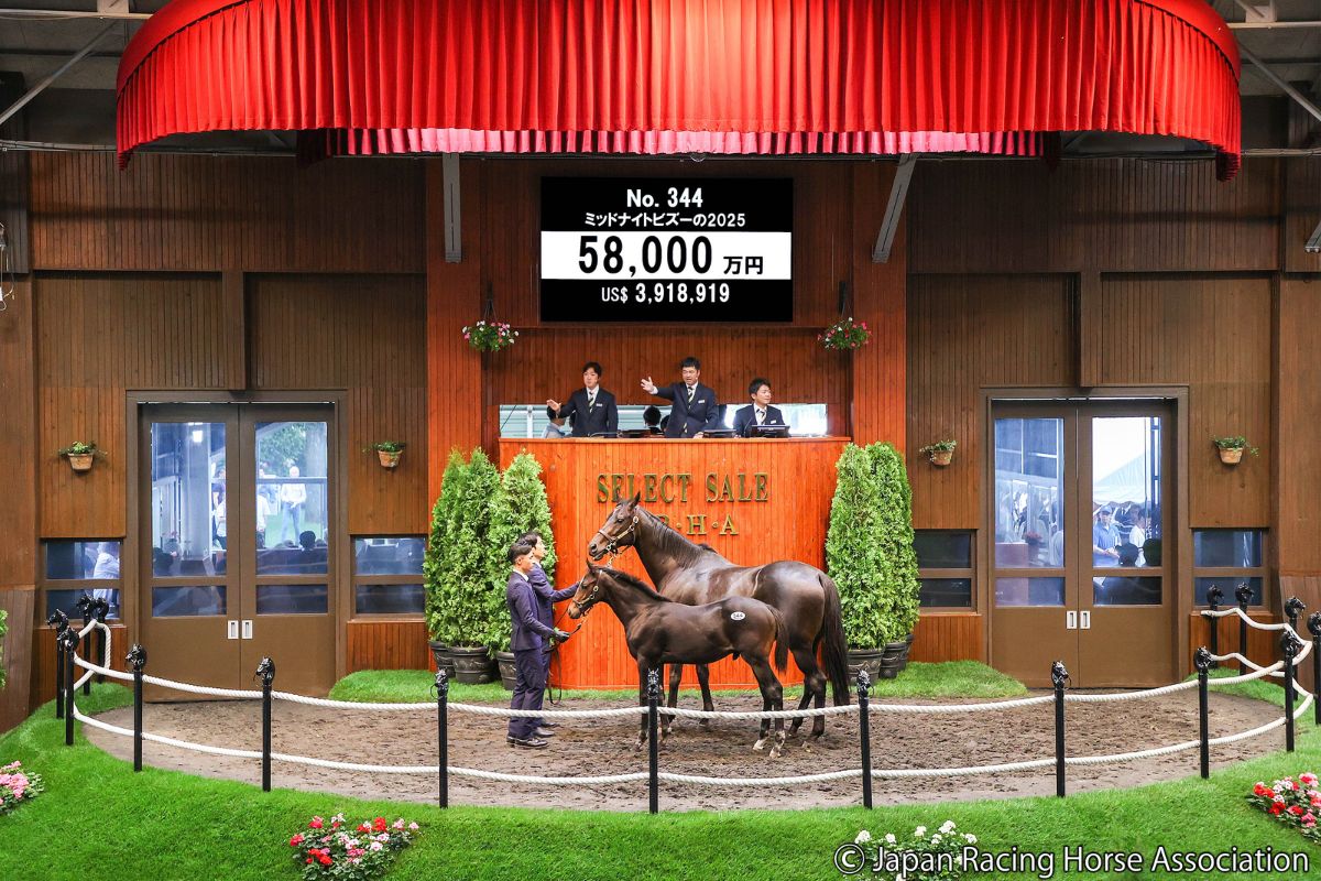 ミッドナイトビズーの2025 ⓒJapan Racing Horse Association