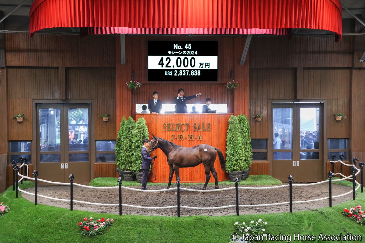 モシーンの2024ⓒJapan Racing Horse Association