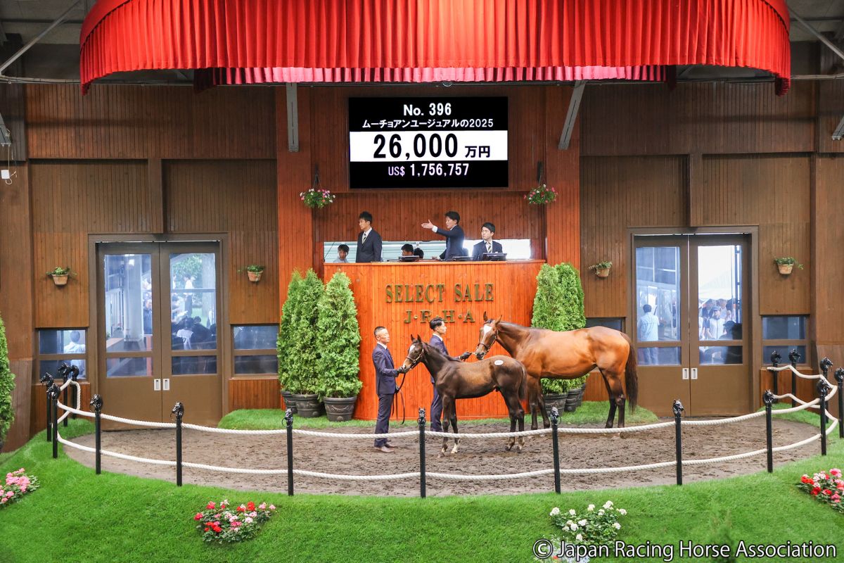 ムーチョアンユージュアルの2025 ⓒJapan Racing Horse Association